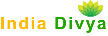 Divyaindia Logo
